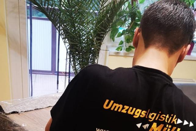 Laborumzug Grossdubrau stressfrei umziehen 